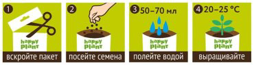 Выращивание растений Happy Plant Василек луговой купить,NaN