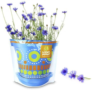 Выращивание растений Happy Plant Василек луговой купить,NaN
