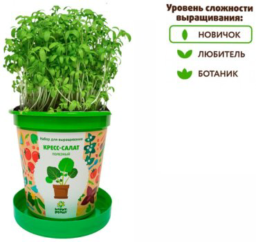 Выращивание растений Happy Plant Кресс-салат купить,NaN
