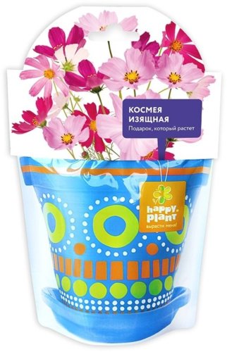 Выращивание растений Happy Plant Космея изящная