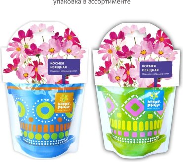 Выращивание растений Happy Plant Космея изящная