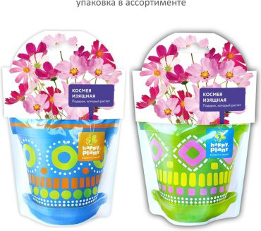Выращивание растений Happy Plant Космея изящная купить,NaN