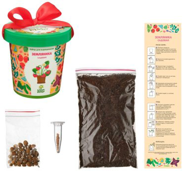 Выращивание растений Happy Plant hpn-26 купить,NaN