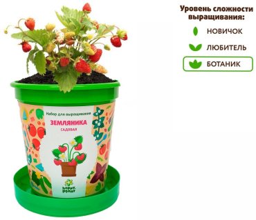 Выращивание растений Happy Plant hpn-26