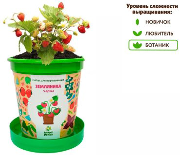 Выращивание растений Happy Plant hpn-26 купить,NaN