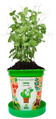 Выращивание растений Happy Plant hpn-35
