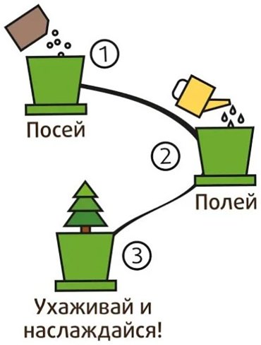Выращивание растений Happy Plant hpn-35