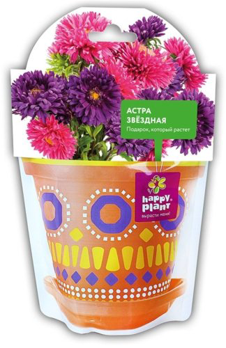 Выращивание растений Happy Plant Астра звездная купить,NaN