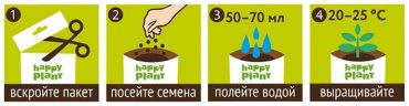 Выращивание растений Happy Plant Астра звездная
