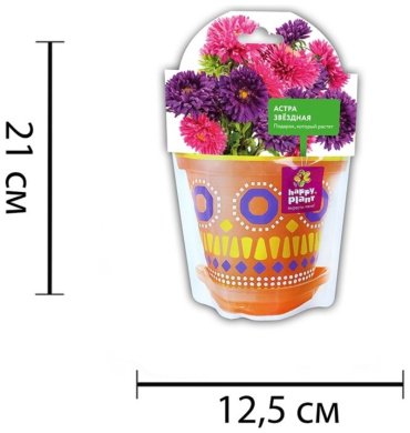 Выращивание растений Happy Plant Астра звездная