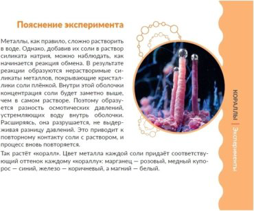 Трюки науки Z010 Лаборатория Кристаллов купить,NaN