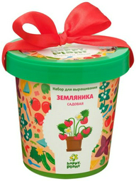 Выращивание растений Happy Plant hpn-26