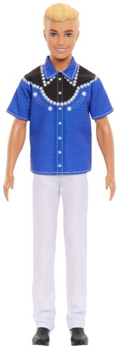 Кукла-модель Barbie Fashionistas HRH250, 29 см купить,NaN