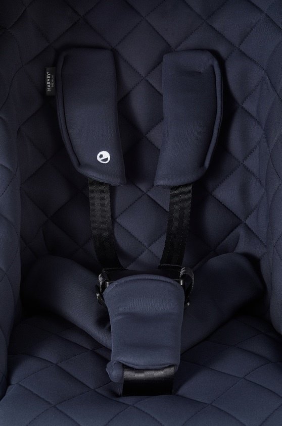 Коляска прогулочная Easywalker Harvey 3, синий купить,NaN