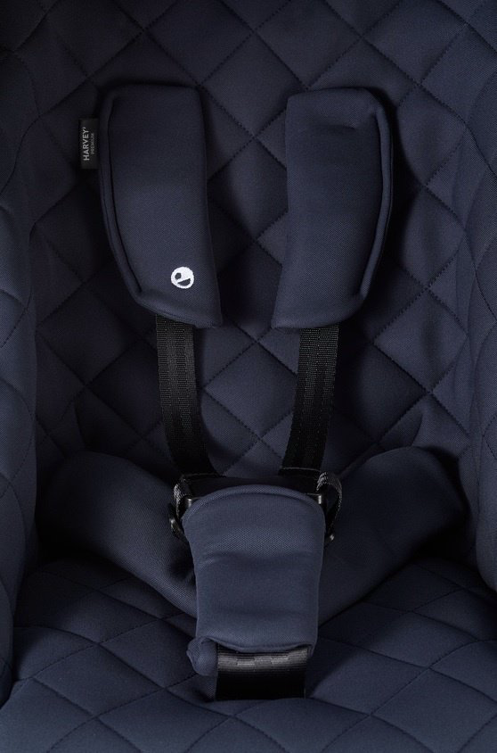 Коляска прогулочная Easywalker Harvey 3, синий купить,NaN