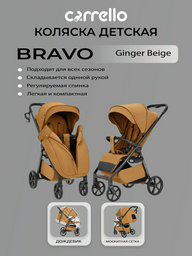 Коляска прогулочная CARRELLO Bravo Carbon, коричневый