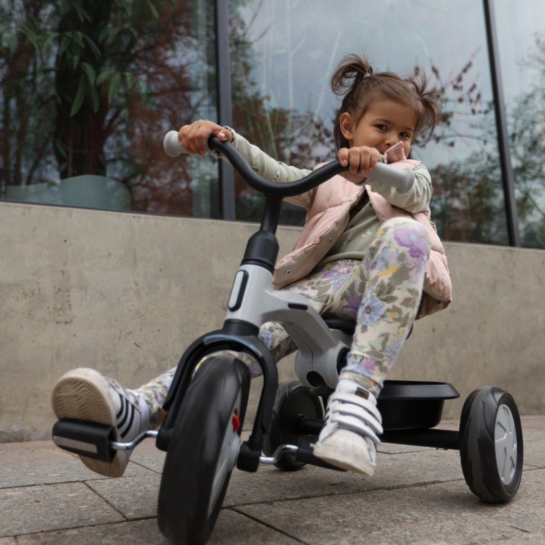 Трёхколёсный велосипед QPLAY Ant графит