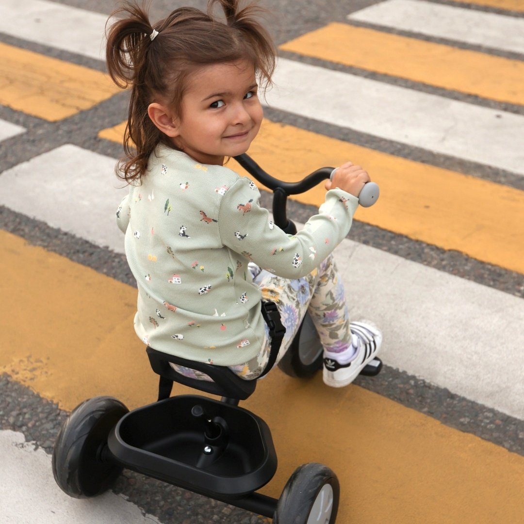 Трёхколёсный велосипед QPLAY Ant графит