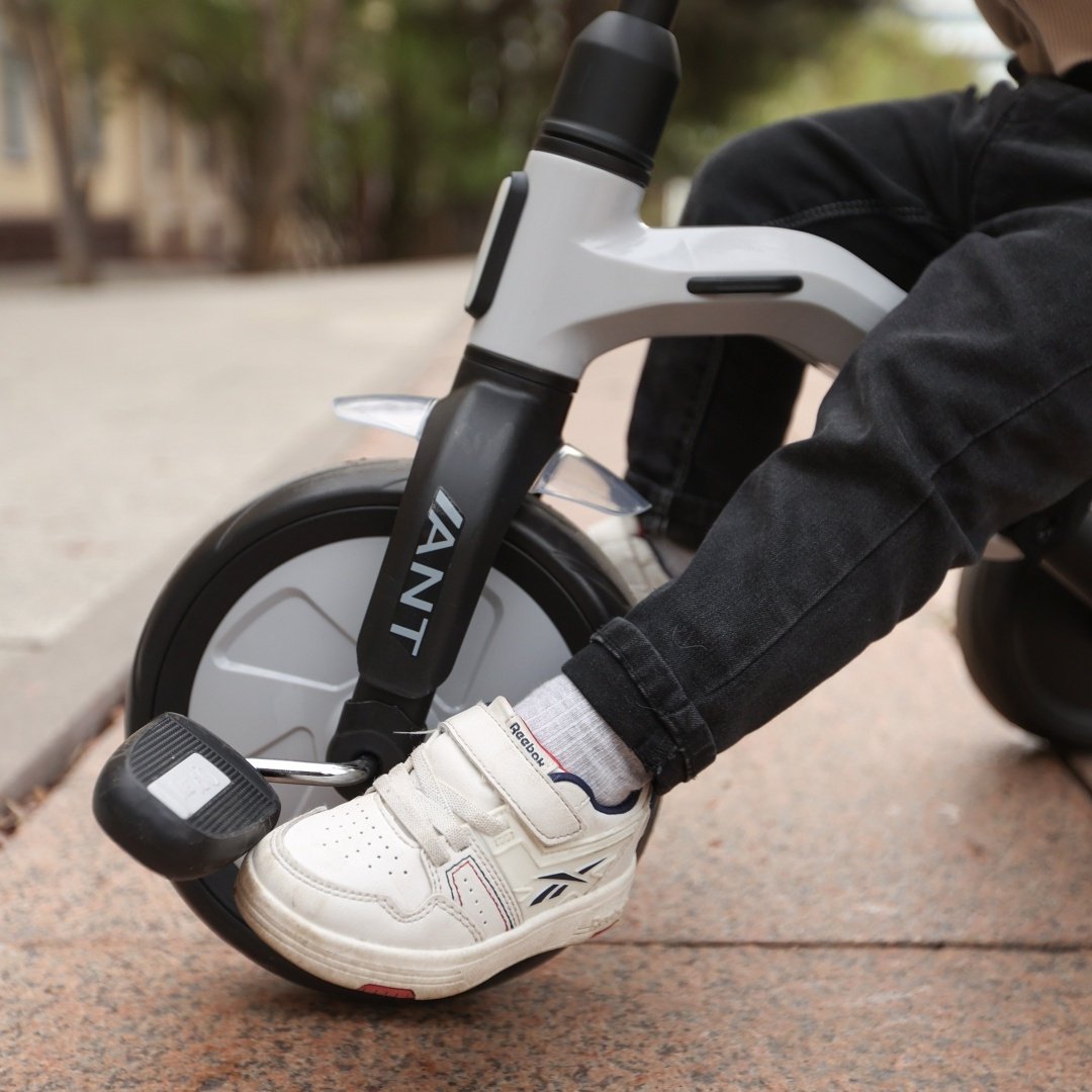 Трёхколёсный велосипед QPLAY Ant графит купить,function inputValueFn(){if((0,signal2.mK)(node),node.value===REQUIRED_UNSET_VALUE)throw new root_effect_scheduler.buA(-950,null);return node.value}