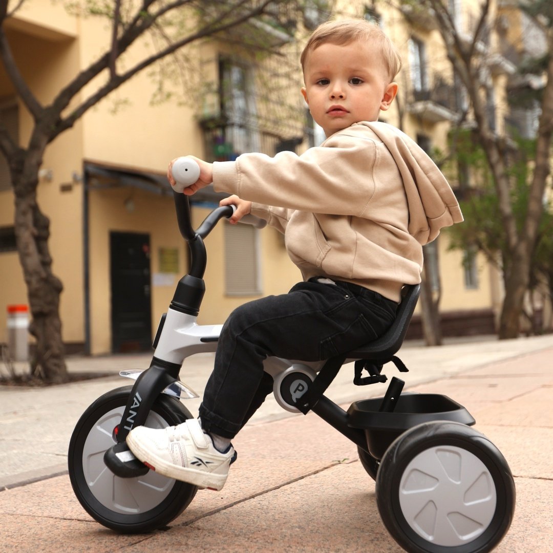 Трёхколёсный велосипед QPLAY Ant Plus розовый купить,function inputValueFn(){if((0,signal2.mK)(node),node.value===REQUIRED_UNSET_VALUE)throw new root_effect_scheduler.buA(-950,null);return node.value}