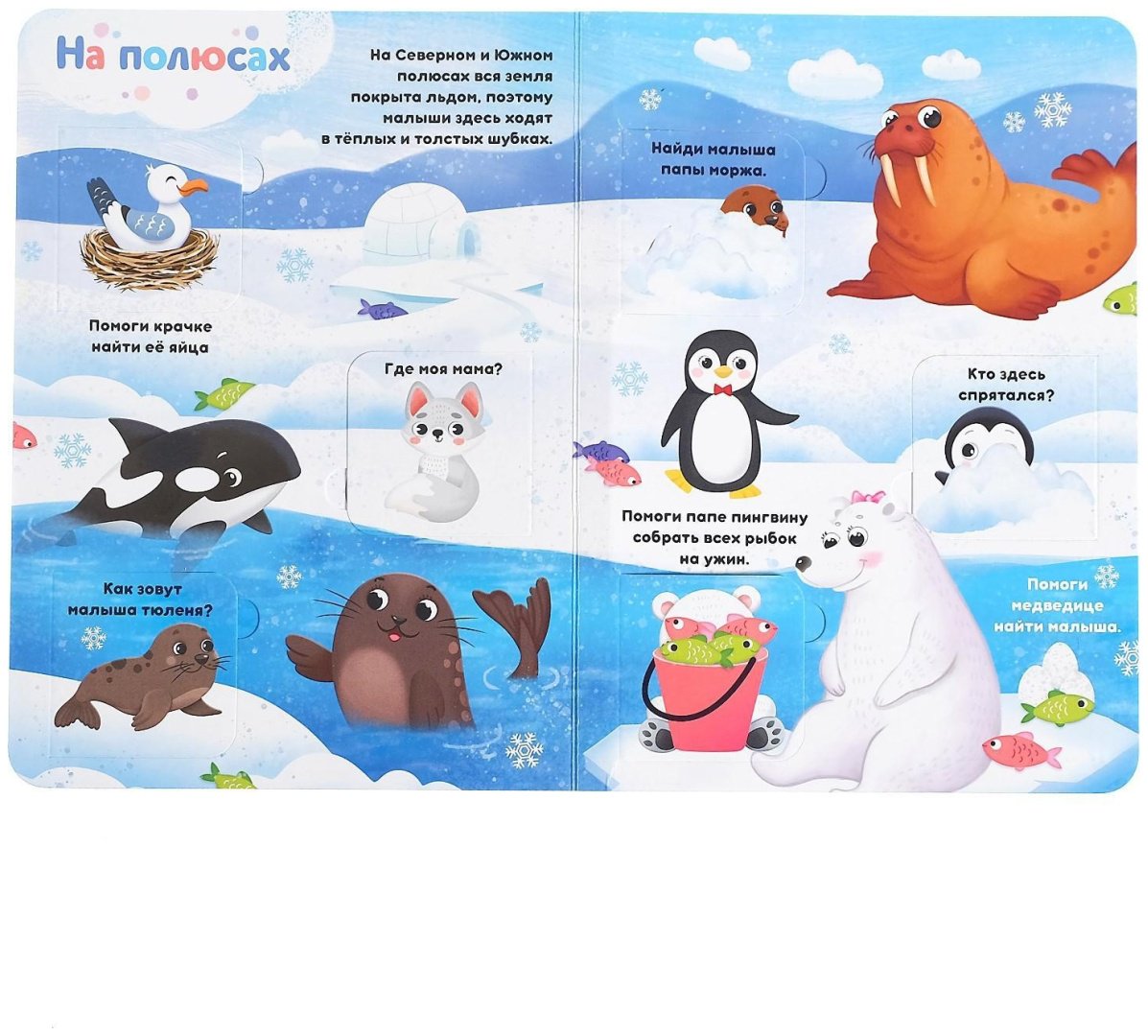 Книга Е.Сачкова: Где моя мамочка купить,NaN