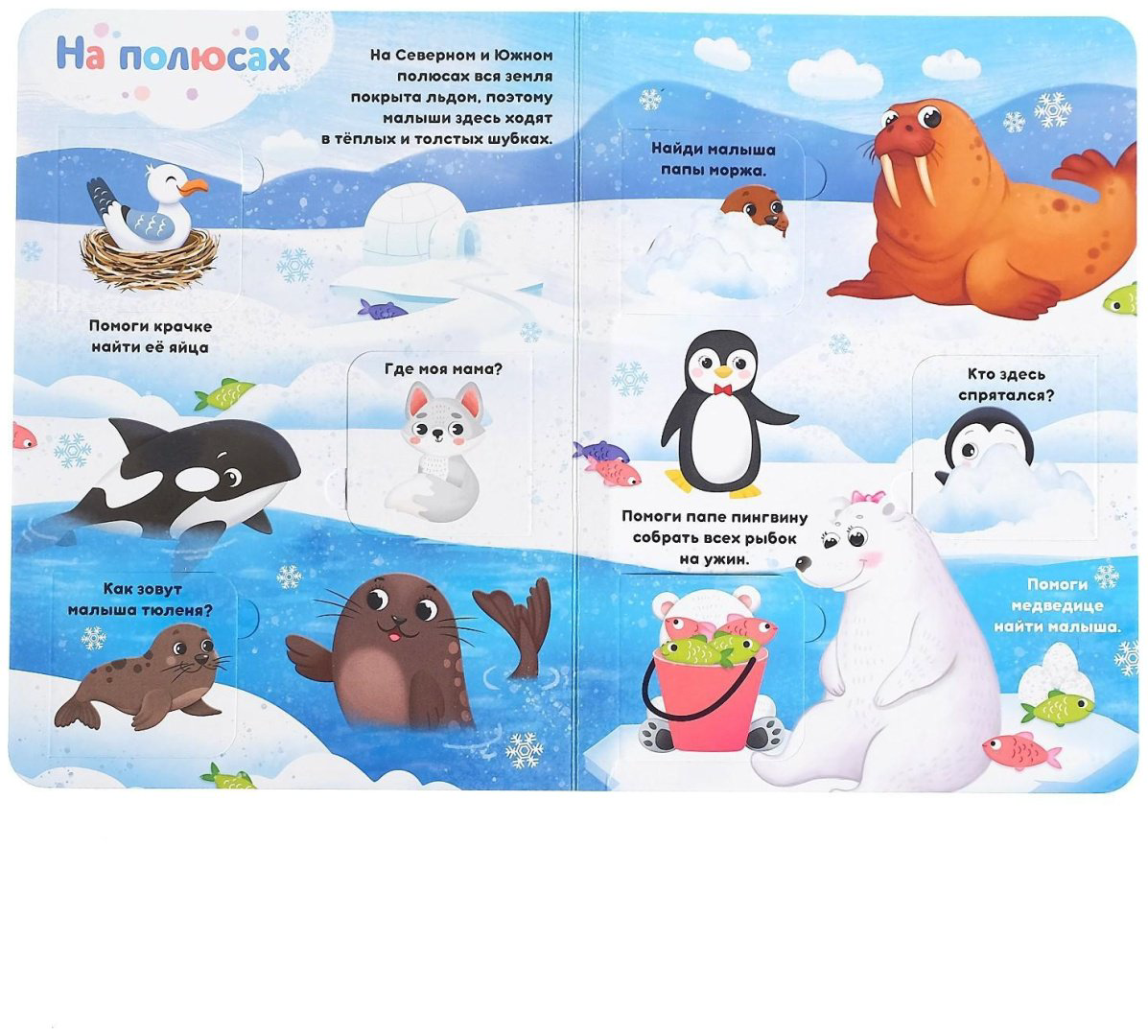 Книга Е.Сачкова: Где моя мамочка купить,NaN