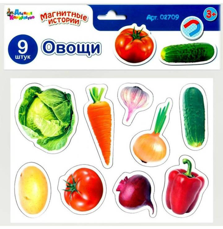 Магнитная игра Десятое Королевство Магнитные истории Овощи 02709 купить,NaN