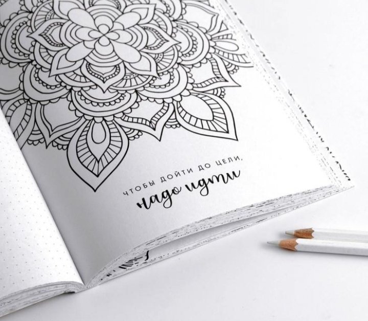 ArtFox ежедневник 365 творческий дней 7018148, A5, 80 листов, белый купить,NaN