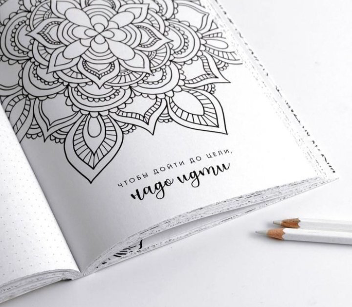 ArtFox ежедневник 365 творческий дней 7018148, A5, 80 листов, белый купить,NaN