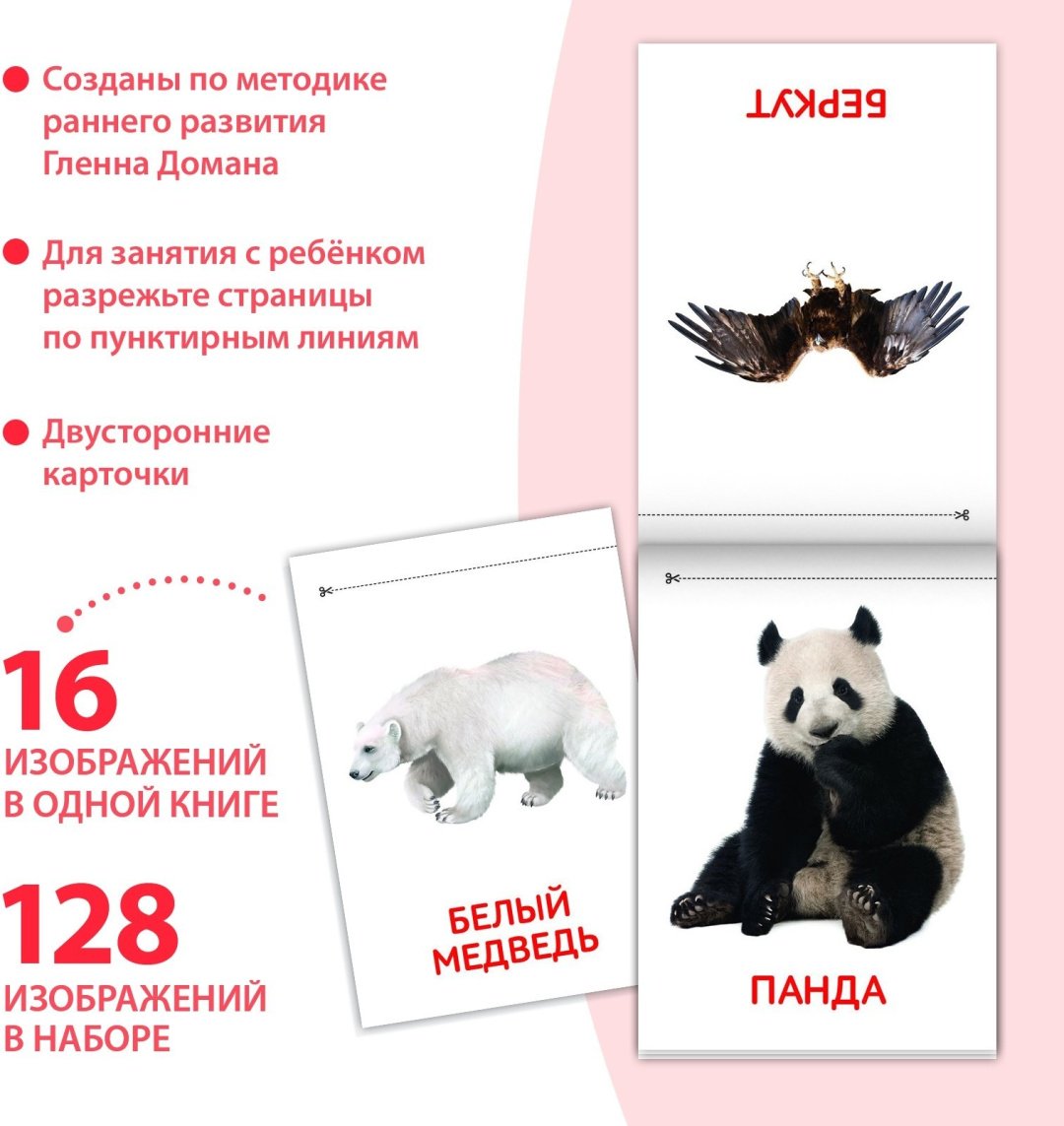 Книга Е.Сачкова: Карточки Домана. Узнаём мир купить,NaN