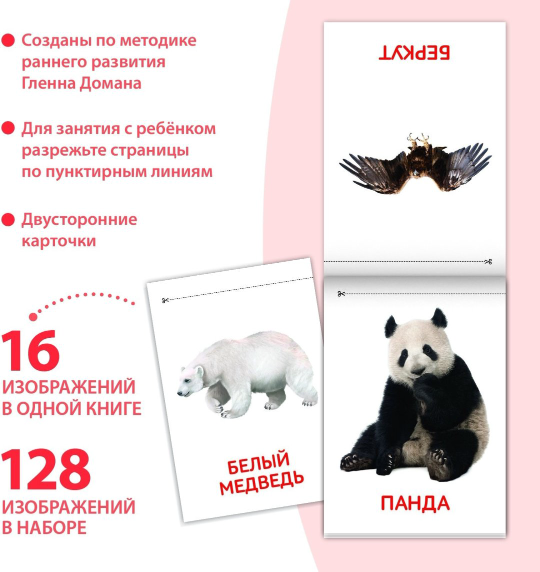 Книга Е.Сачкова: Карточки Домана. Узнаём мир купить,NaN