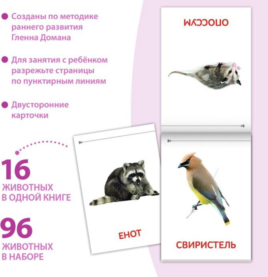 Книга Доман: Карточки Домана. Животные материков купить,1700