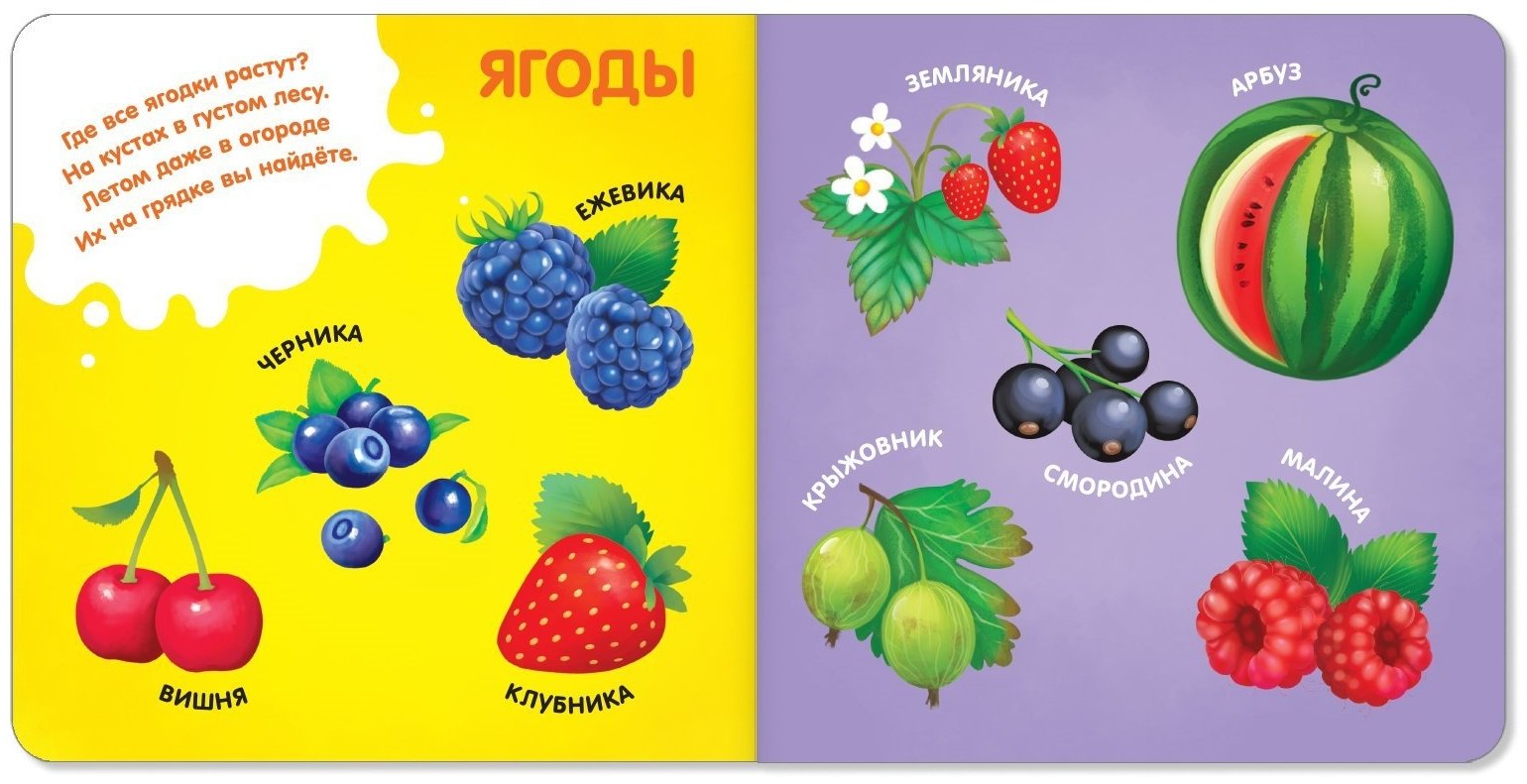 Книга Е.Сачкова: Знакомимся с окружающим миром купить,NaN