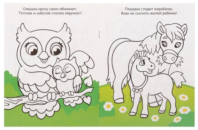 Раскраска Буква-ленд Для девочек 5214449 8 шт купить,NaN