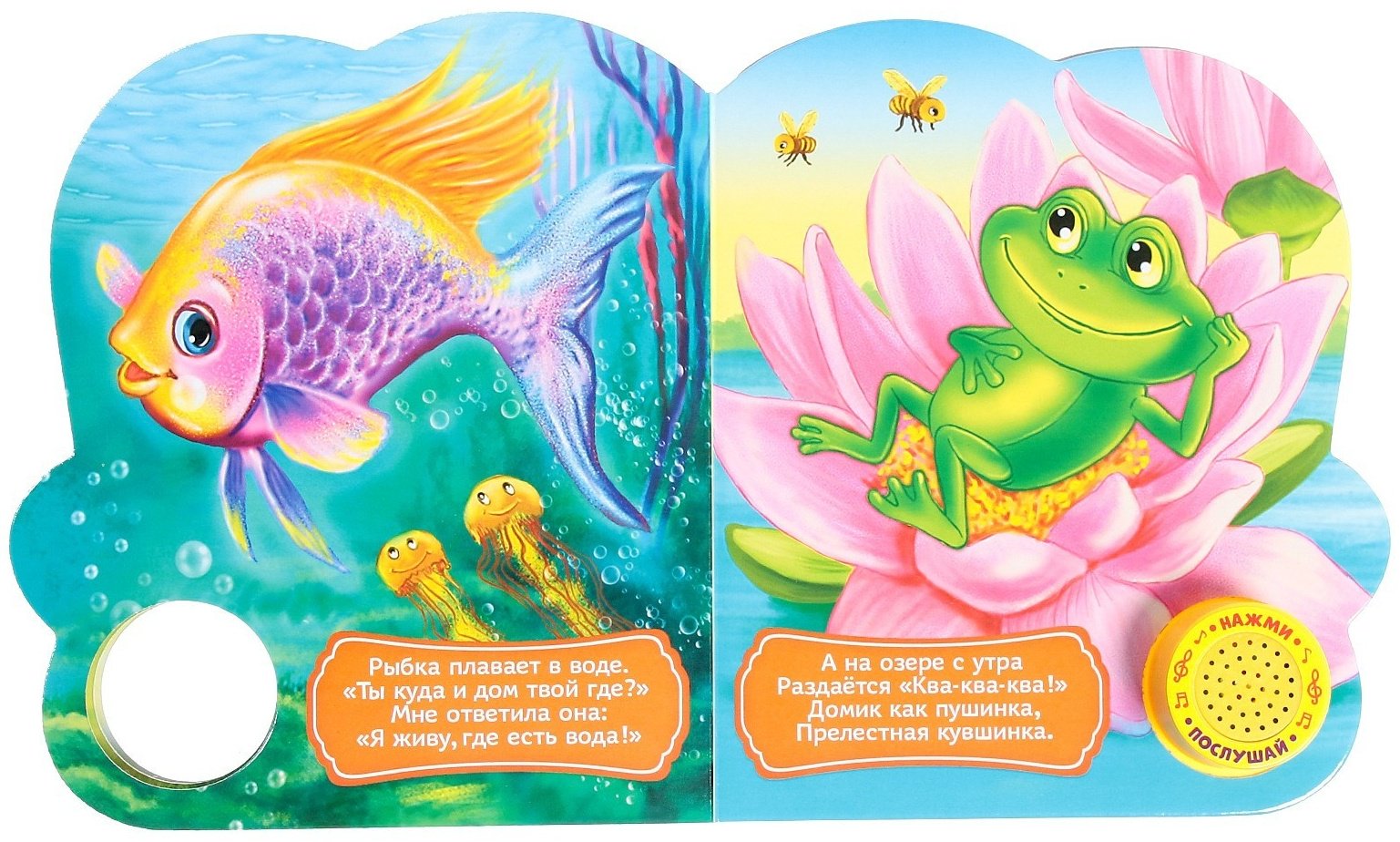Книга Е.Сачкова: Кто где живёт купить,NaN
