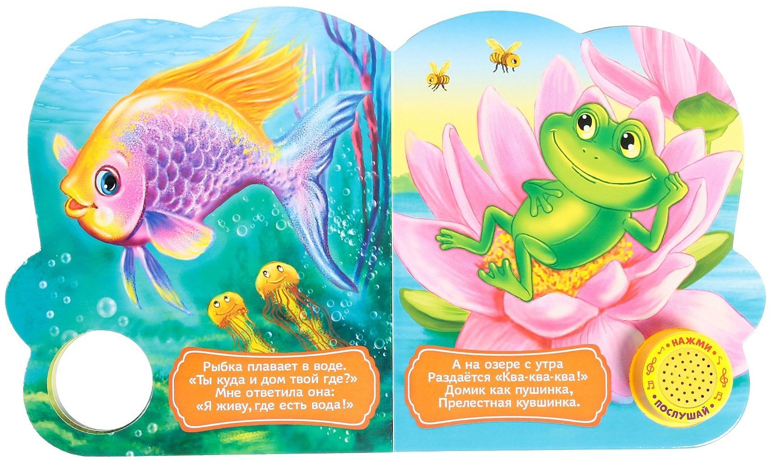 Книга Е.Сачкова: Кто где живёт купить,NaN