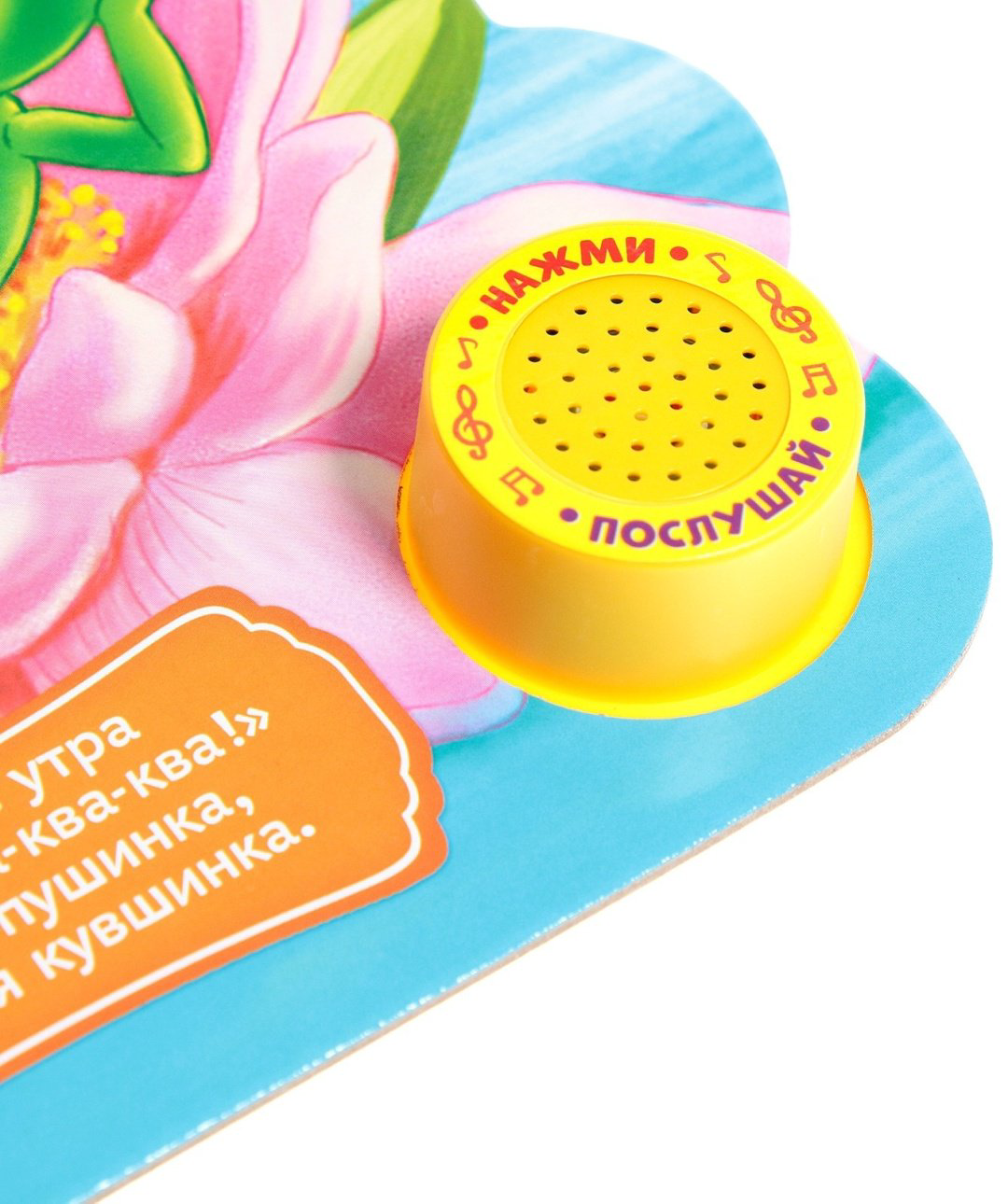 Книга Е.Сачкова: Кто где живёт купить,NaN