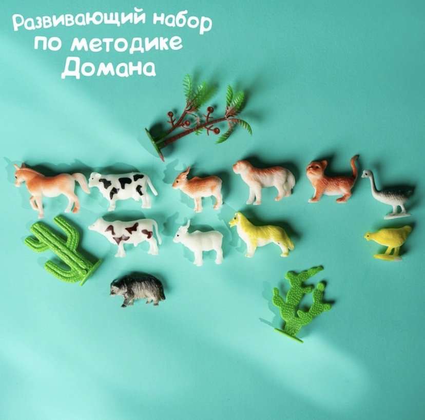 Книга Доман Г.: Набор с карточками купить,NaN