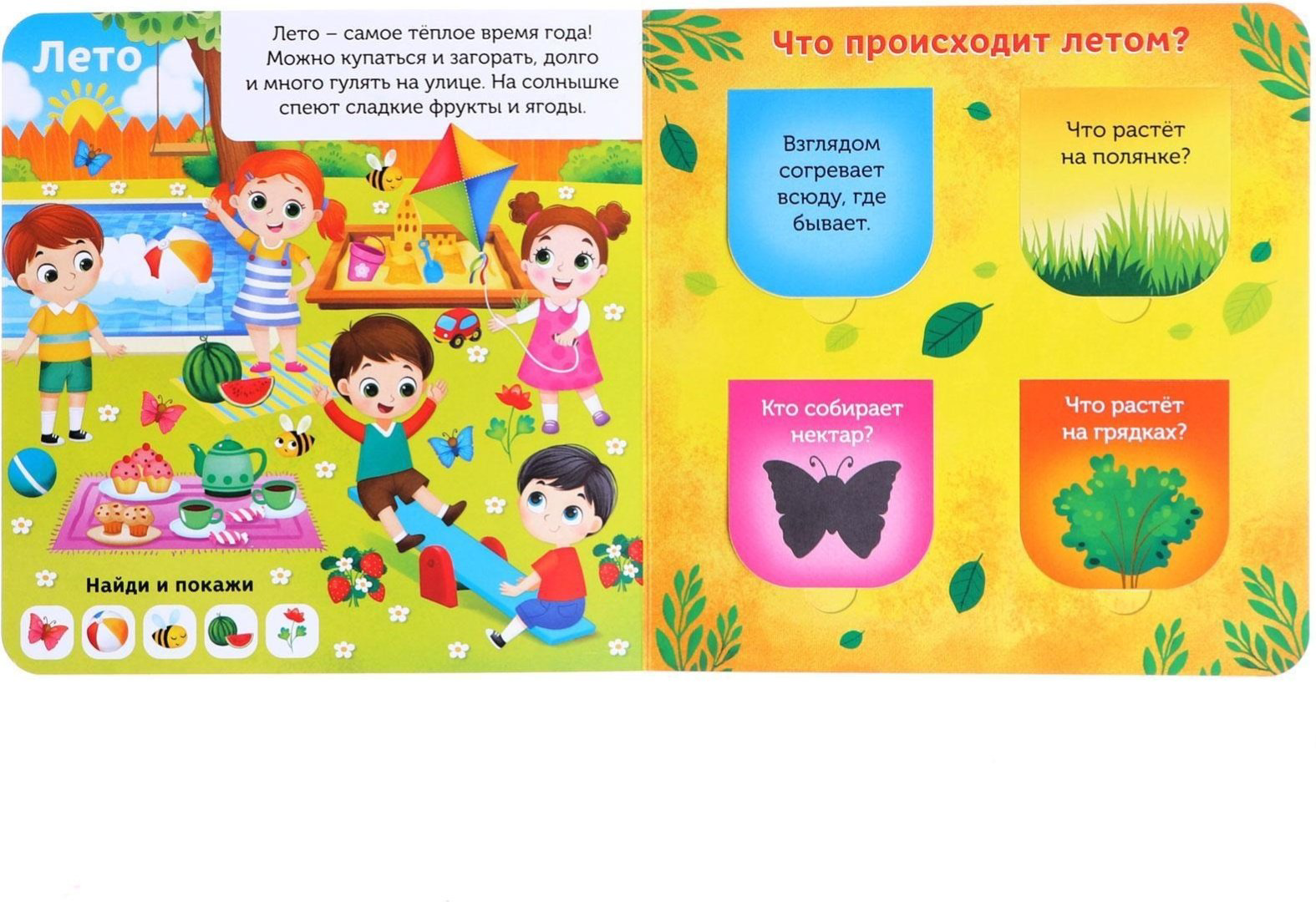Книга Сачкова Е.: От зимы до лета купить,NaN