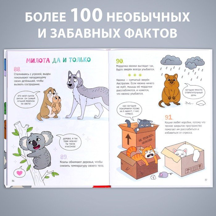 Книга Соколова Ю.: Энциклопедия в твёрдом переплёте Забавные факты о животных - ForteMarket Книга Соколова Ю.: Энциклопедия в твёрдом переплёте Забавные факты о животных купить,NaN