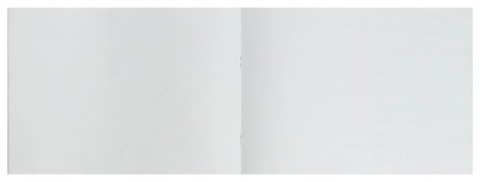 Альбом Calligrata 5666502 A4 24 листа