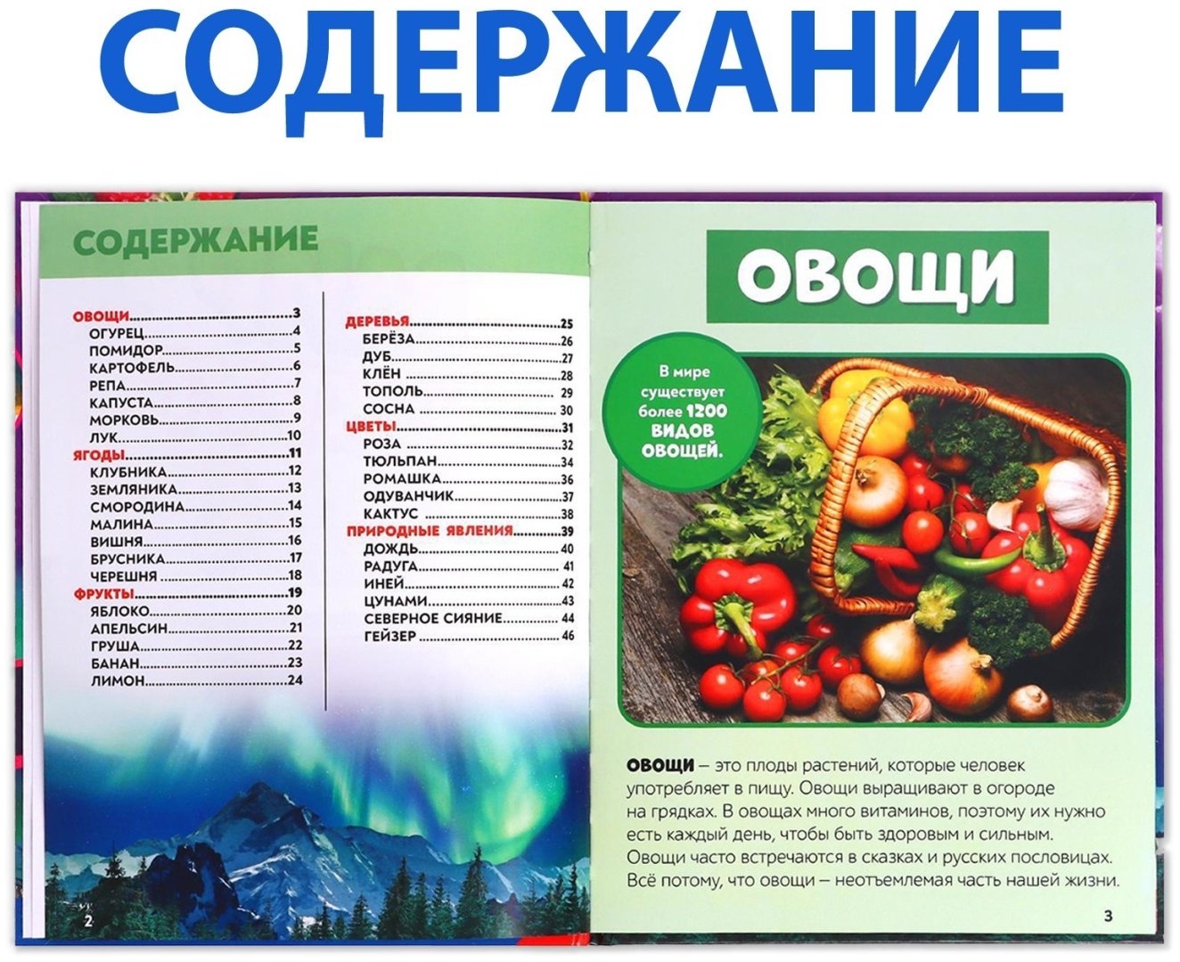 Книга Е.Сачкова: Мир вокруг нас купить,NaN