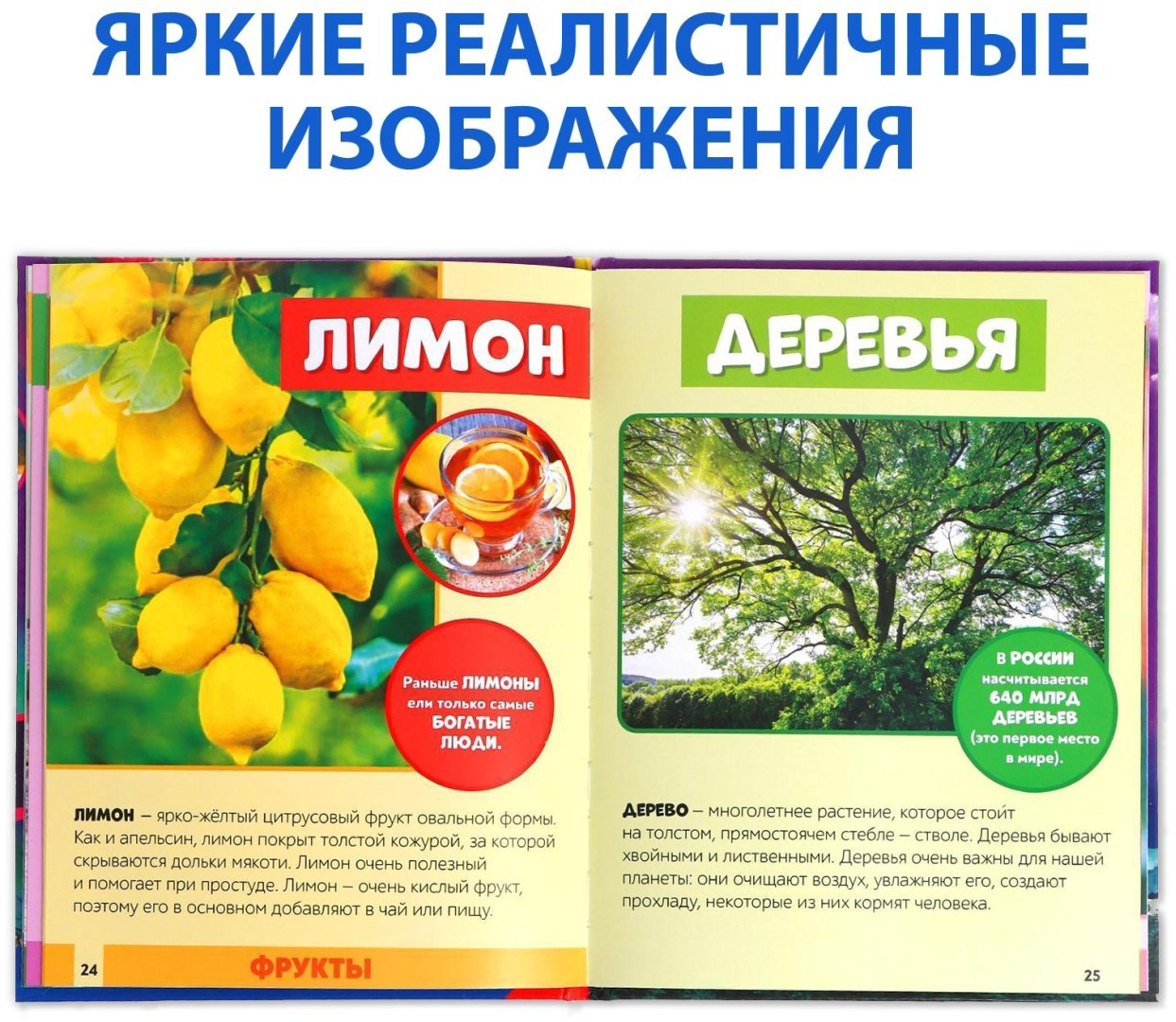 Книга Е.Сачкова: Мир вокруг нас купить,NaN