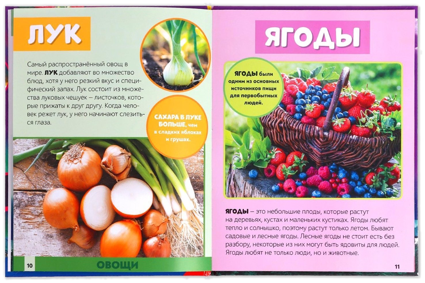Книга Е.Сачкова: Мир вокруг нас купить,NaN