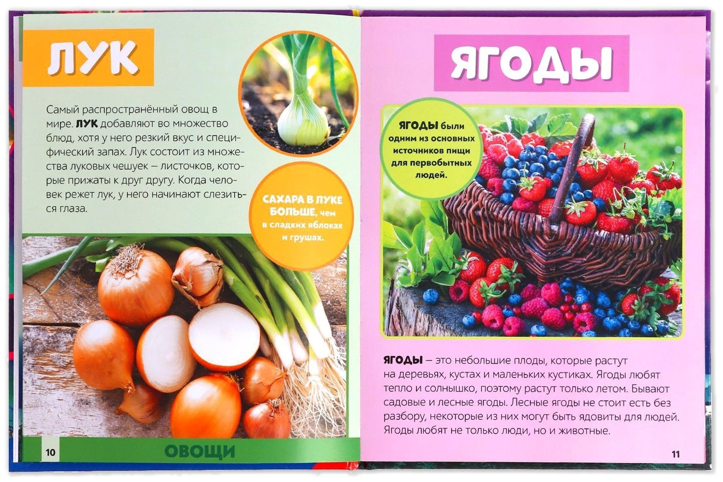 Книга Е.Сачкова: Мир вокруг нас купить,NaN