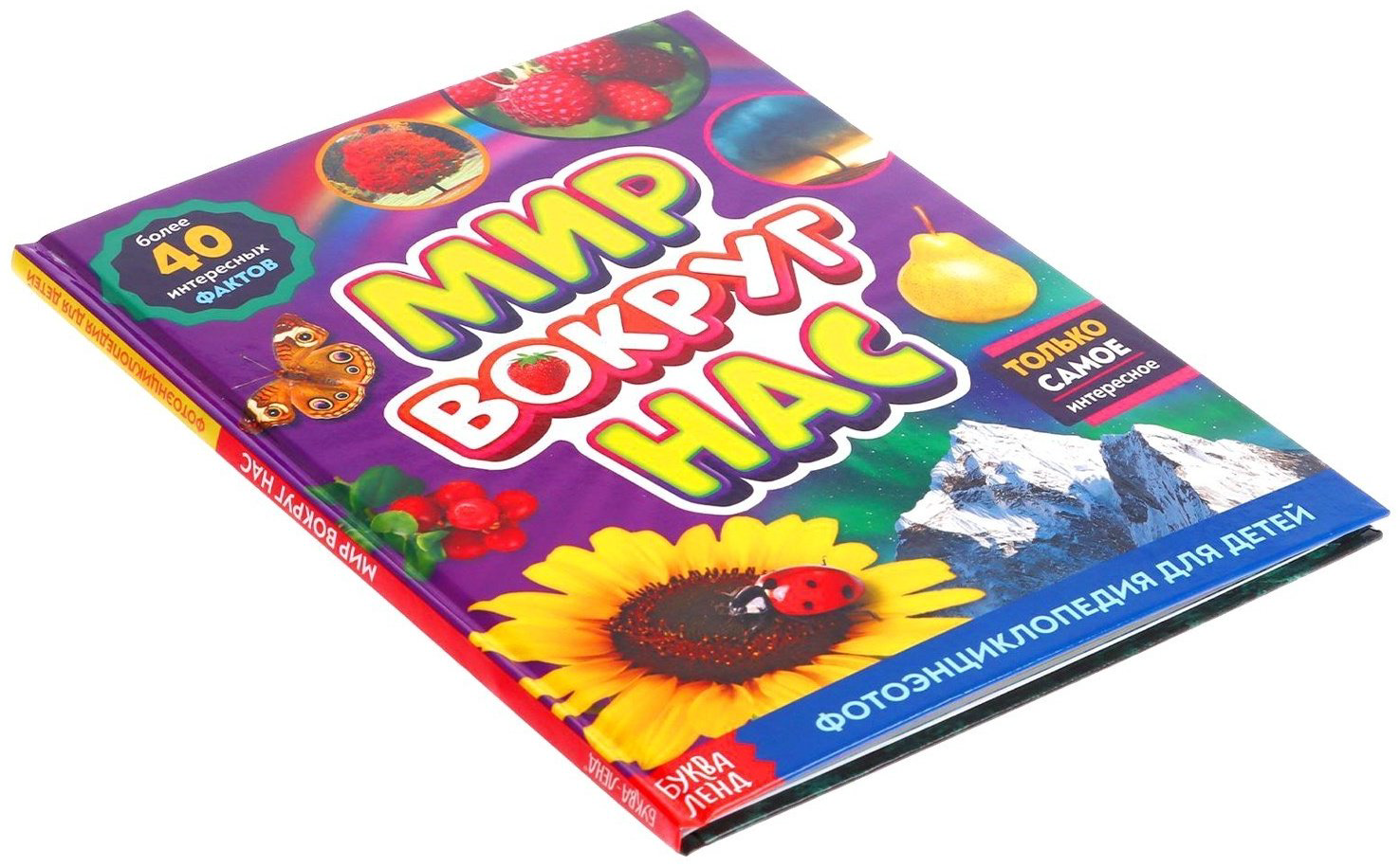 Книга Е.Сачкова: Мир вокруг нас купить,NaN