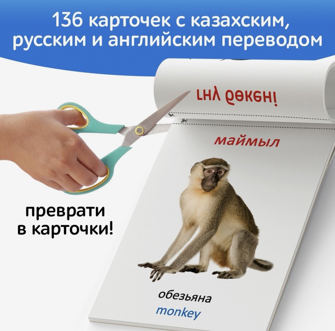 Обучающий набор Буква-ленд Набор развивающих карточек Г. Домана, на казахском языке купить,NaN