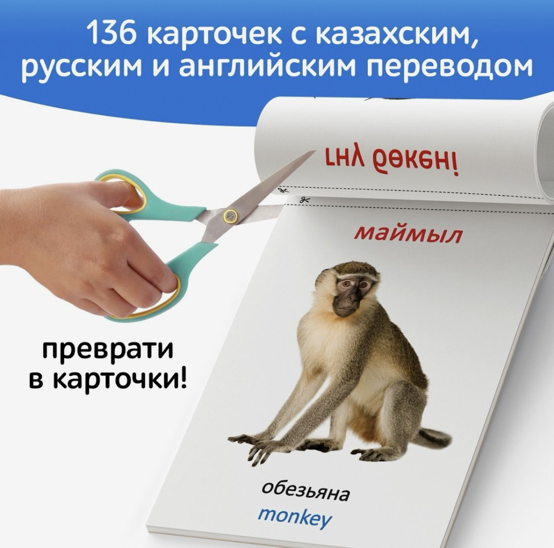 Обучающий набор Буква-ленд Набор развивающих карточек Г. Домана, на казахском языке купить,NaN
