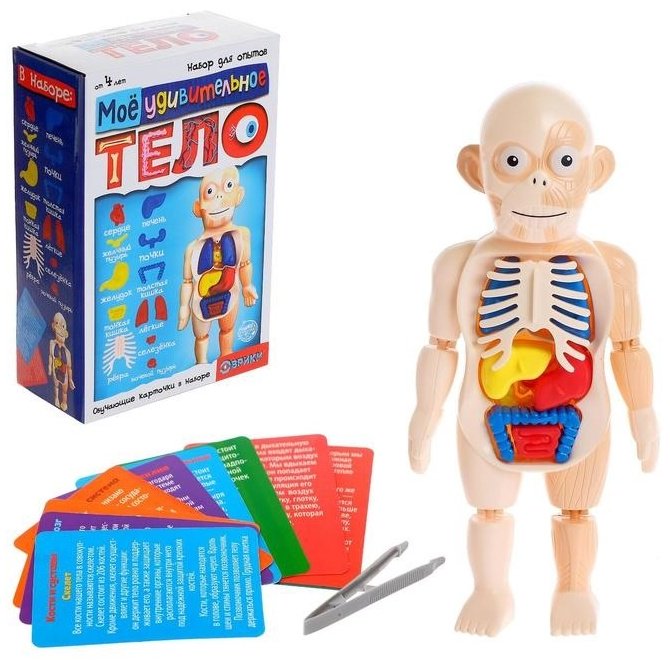 Эврики Мое удивительное тело 5483302 купить,NaN