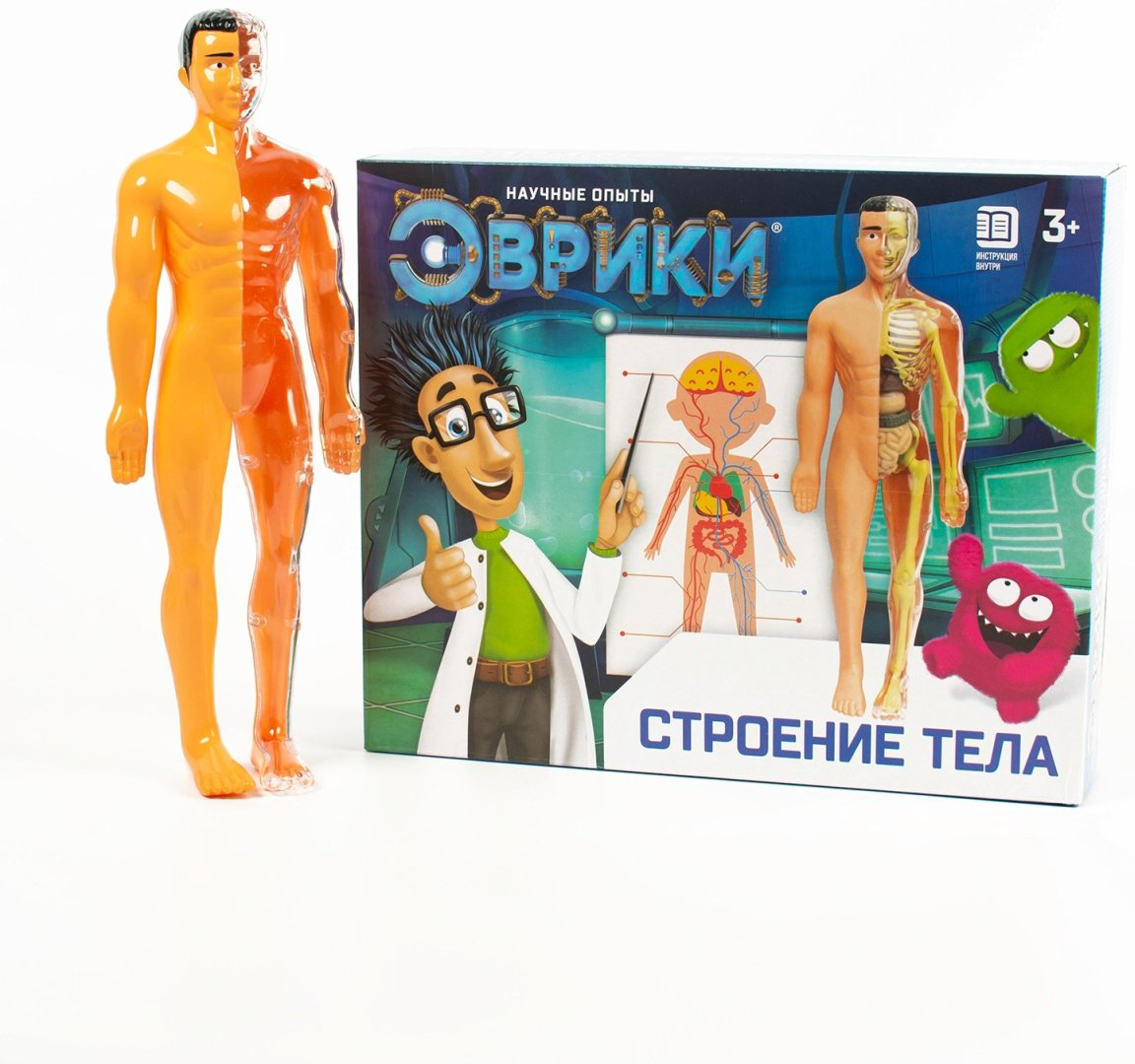 Проектирование и моделирование Эврики Строение тела 2772939 купить,NaN